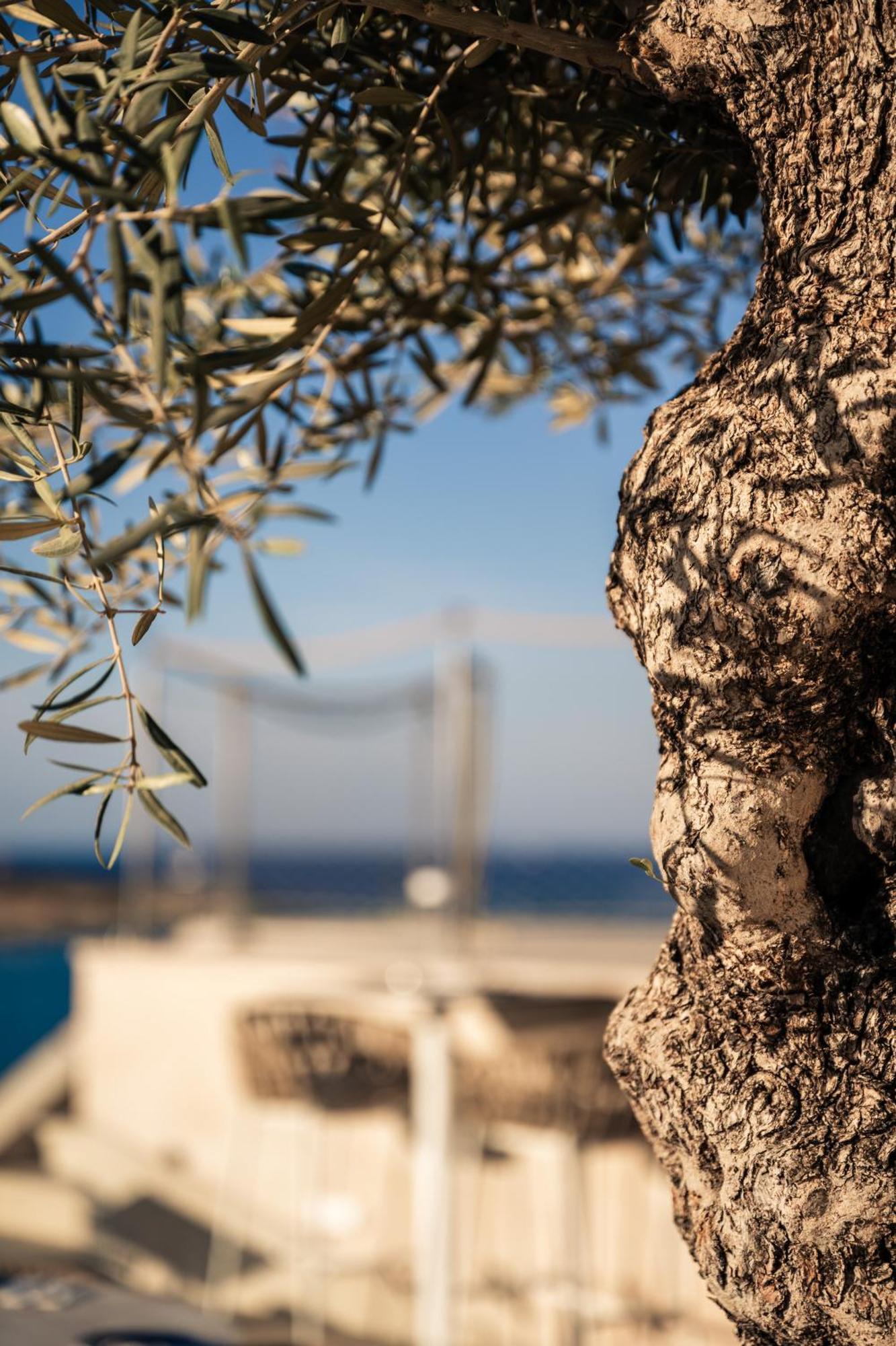 Naxxar XVI Suites - Adults Only מראה חיצוני תמונה
